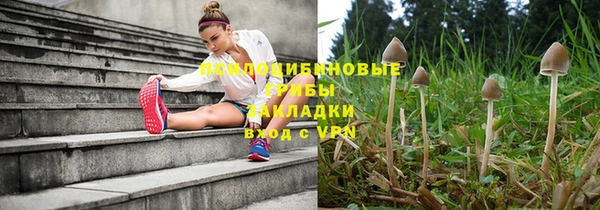PSILOCYBIN Волгодонск