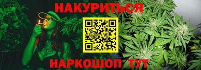 сатива Ливны