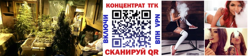 Дистиллят ТГК Wax  где купить   Торжок 