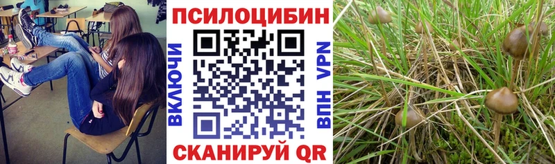 Галлюциногенные грибы GOLDEN TEACHER  Торжок 