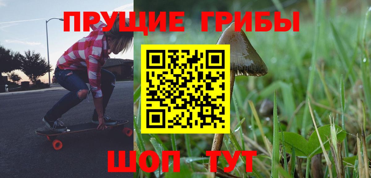 Торжок  Псилоцибиновые грибы MAGIC MUSHROOMS  Галлюциногенные грибы Psilocybine cubensis  Вход с VPN 