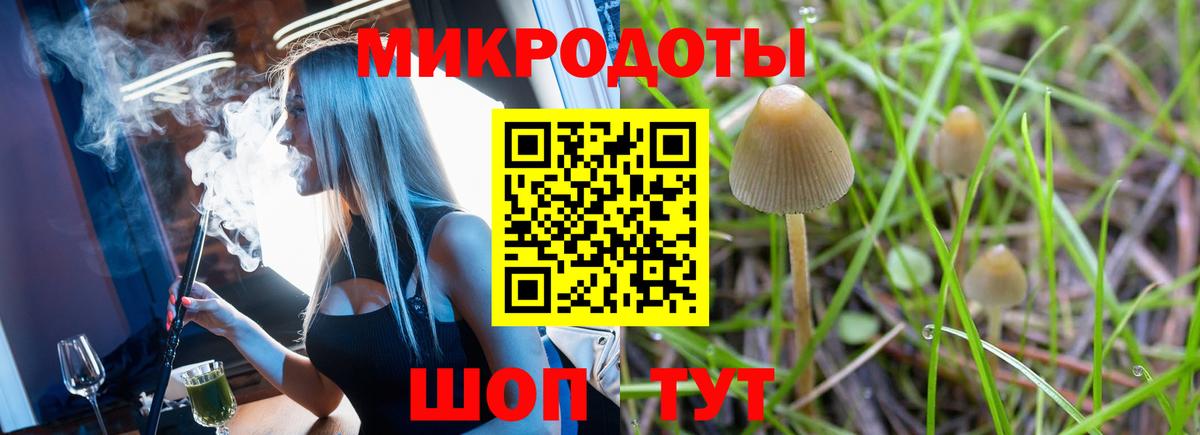 Псилоцибиновые грибы мицелий Торжок